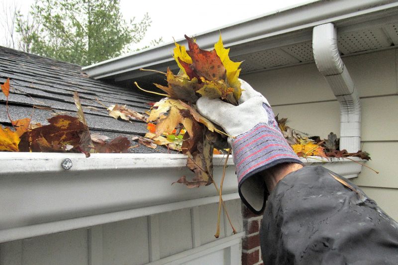 Downspout Blockage Removal in Annapolis, MD
